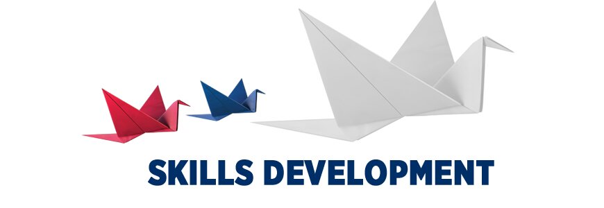 Importance of Skills Development